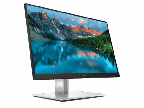 HP E22 G4 FHD Monitor